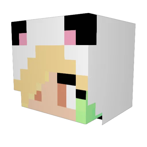 BeSm0 Minecraft avatar head, 3D render