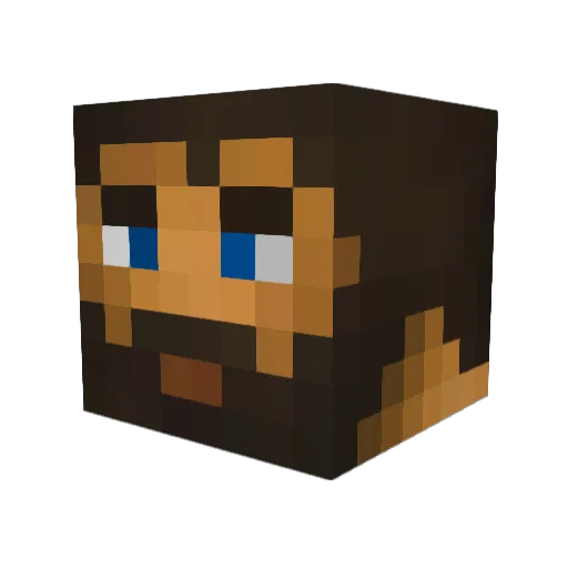 BeSt2323 Minecraft avatar head, 3D render