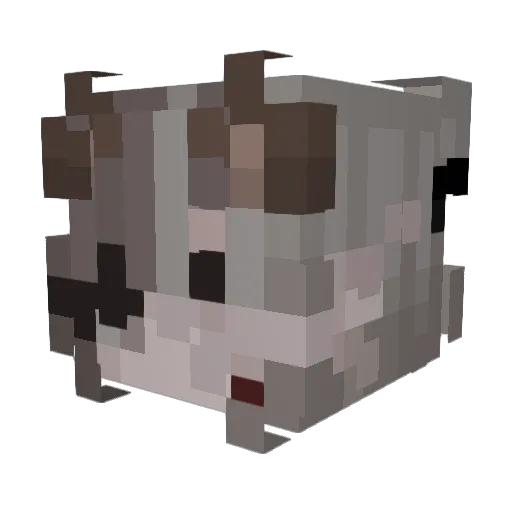 Be_Shat Minecraft avatar head, 3D render