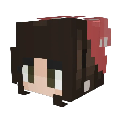 BeaBeeB Minecraft avatar head, 3D render