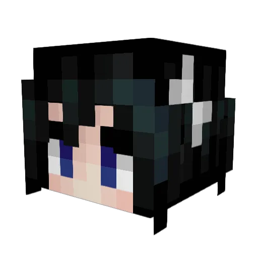 BeachWalk1 Minecraft avatar head, 3D render