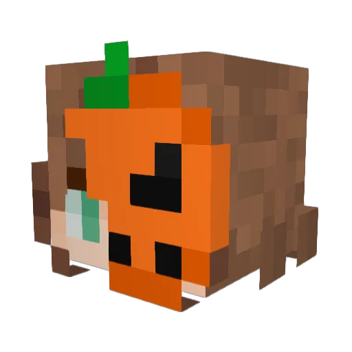 BeachWaves1111 Minecraft avatar head, 3D render