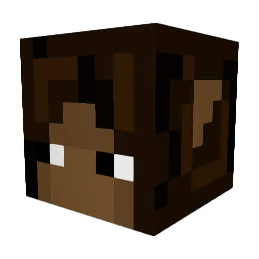 Beachbloop Minecraft avatar head, 3D render