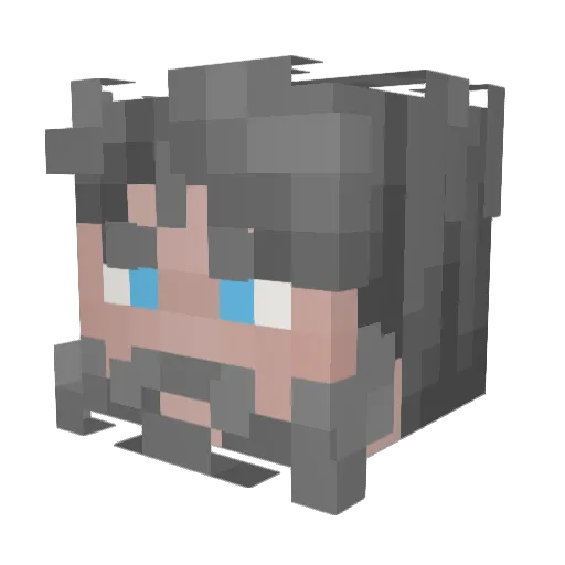 Beador Minecraft avatar head, 3D render