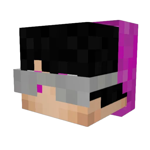 Beagui Minecraft avatar head, 3D render