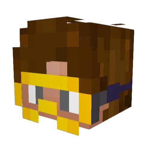 Beaked Minecraft avatar head, 3D render