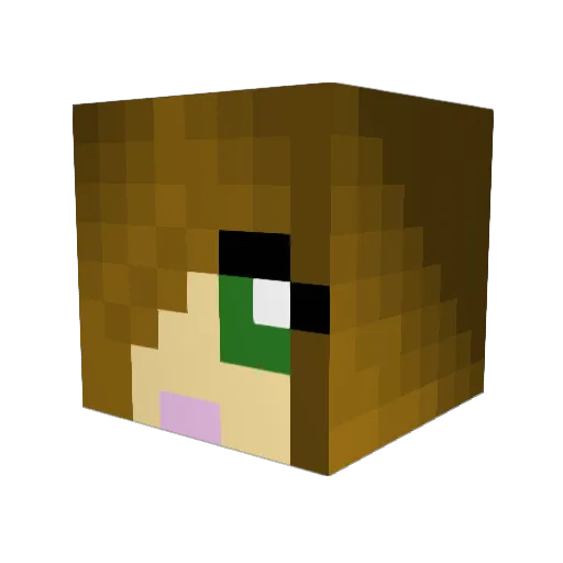 Beakeroni Minecraft avatar head, 3D render