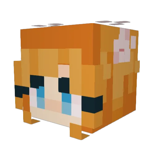 Beakey Minecraft avatar head, 3D render