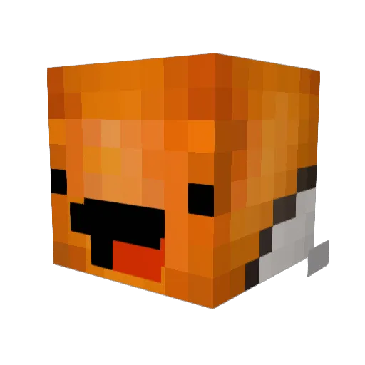 Beakfast_27 Minecraft avatar head, 3D render