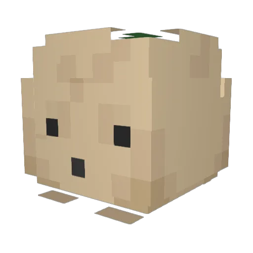 BeamMeUp0517 Minecraft avatar head, 3D render