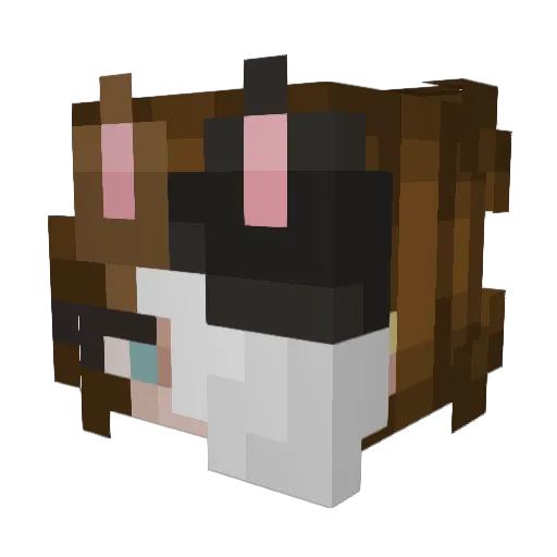 BeanBagKitty Minecraft avatar head, 3D render