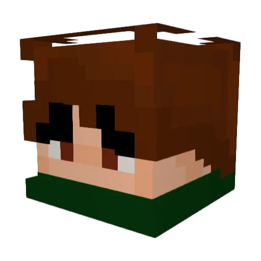 BeanIsLost Minecraft avatar head, 3D render