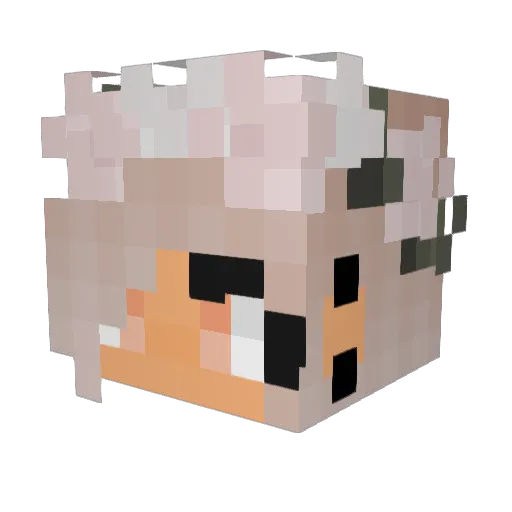 BeanSMDHR Minecraft avatar head, 3D render