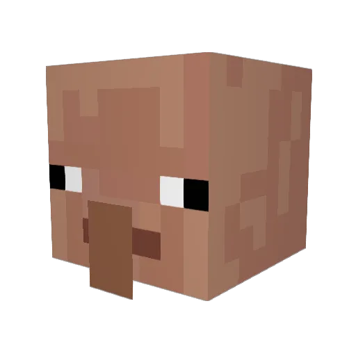 BeanZBoy14 Minecraft avatar head, 3D render