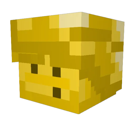 Bean_Baby Minecraft avatar head, 3D render