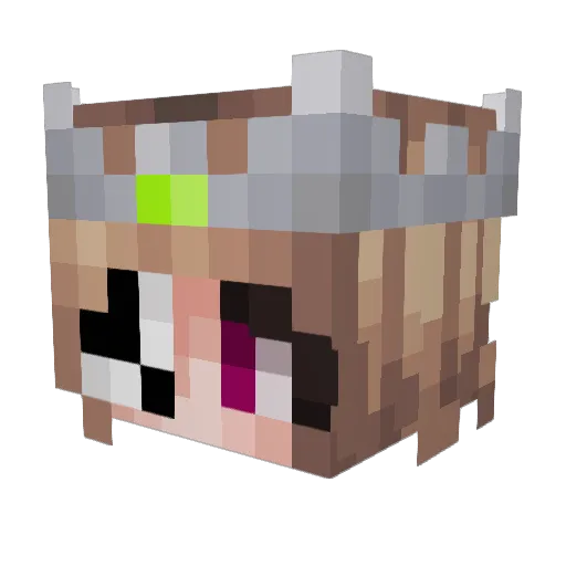 Bean_Sidhe666 Minecraft avatar head, 3D render