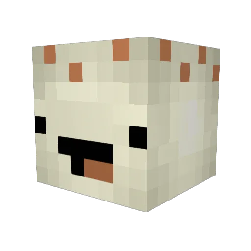 Bean_n Minecraft avatar head, 3D render