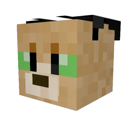 Beancheese3215 Minecraft avatar head, 3D render