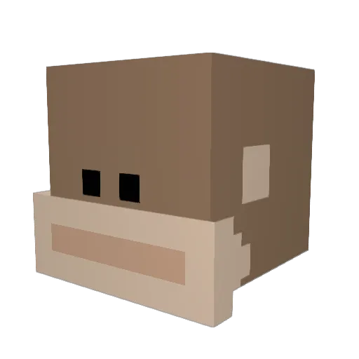 Beancrocs Minecraft avatar head, 3D render