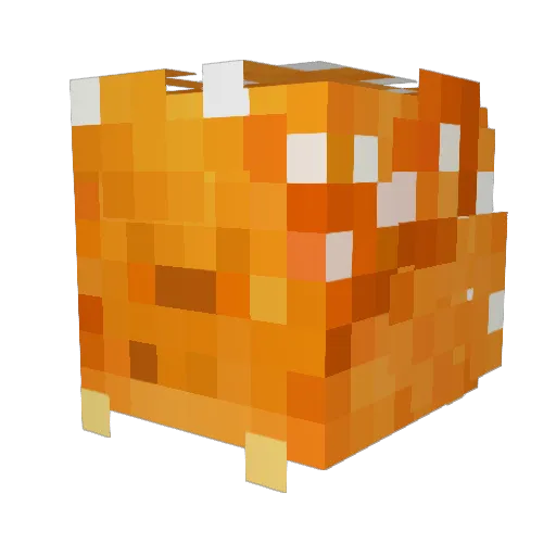 BeaneWeenee Minecraft avatar head, 3D render