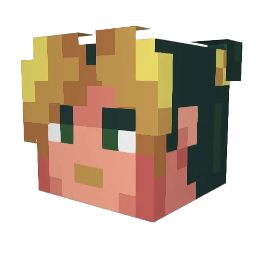 Beaned29019 Minecraft avatar head, 3D render