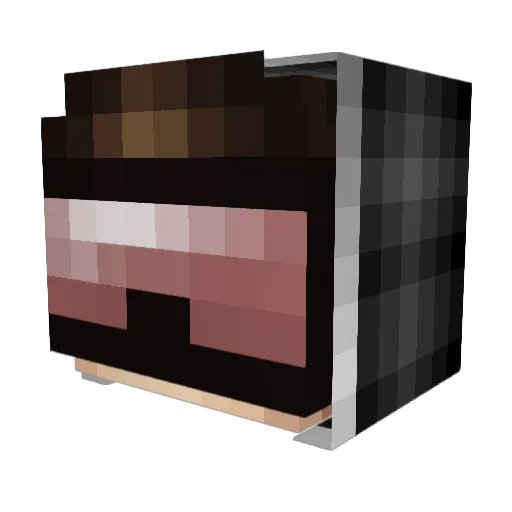 Beaned_ Minecraft avatar head, 3D render