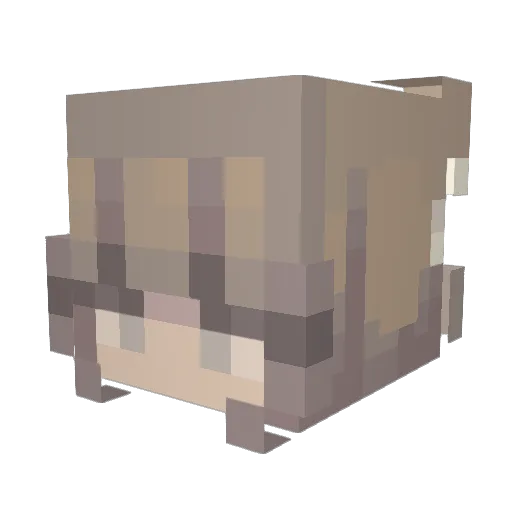 Beanela Minecraft avatar head, 3D render