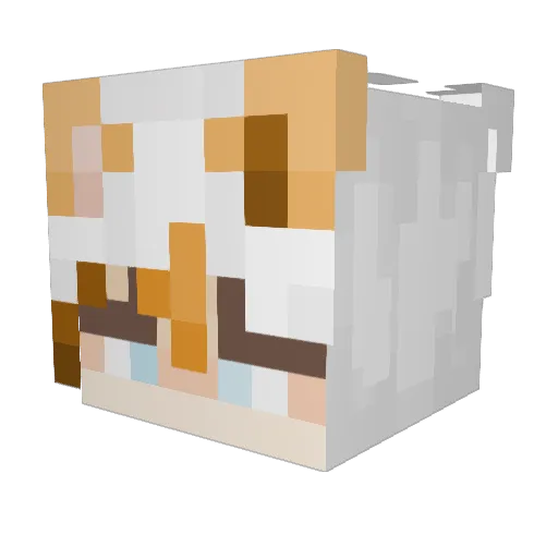 BeanerBoiBeanBas Minecraft avatar head, 3D render