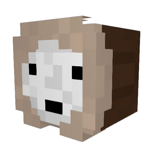 Beaner_Paste Minecraft avatar head, 3D render