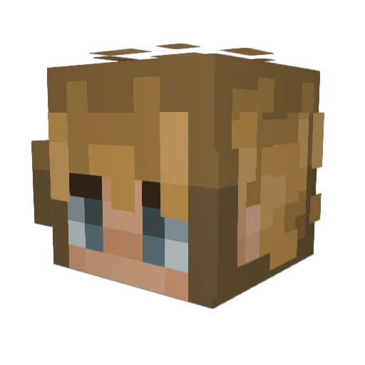 Beanfeast Minecraft avatar head, 3D render