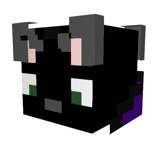 Beanie2023 Minecraft avatar head, 3D render