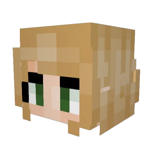 BeanieBopper35 Minecraft avatar head, 3D render