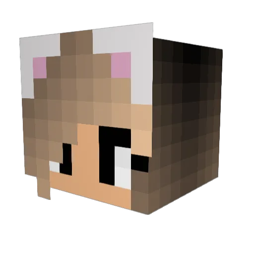Beaniecat_lover Minecraft avatar head, 3D render