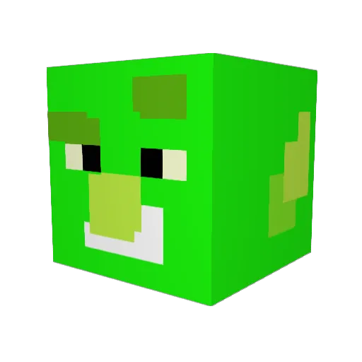 Beaninator1 Minecraft avatar head, 3D render