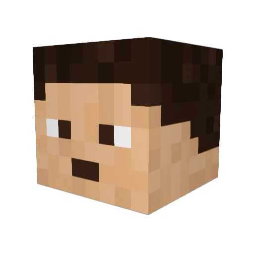 Beanjamin11234 Minecraft avatar head, 3D render