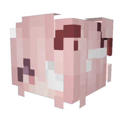 Beankung Minecraft avatar head, 3D render