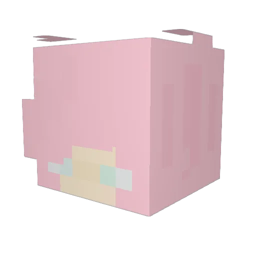 BeansNRicee Minecraft avatar head, 3D render