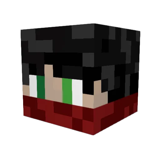 Beans_10 Minecraft avatar head, 3D render