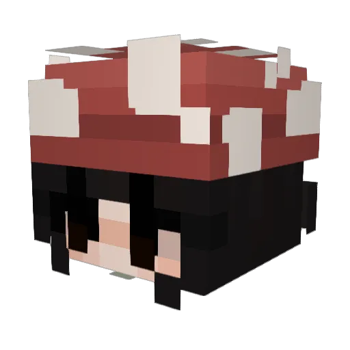 Beans_With_Toast Minecraft avatar head, 3D render