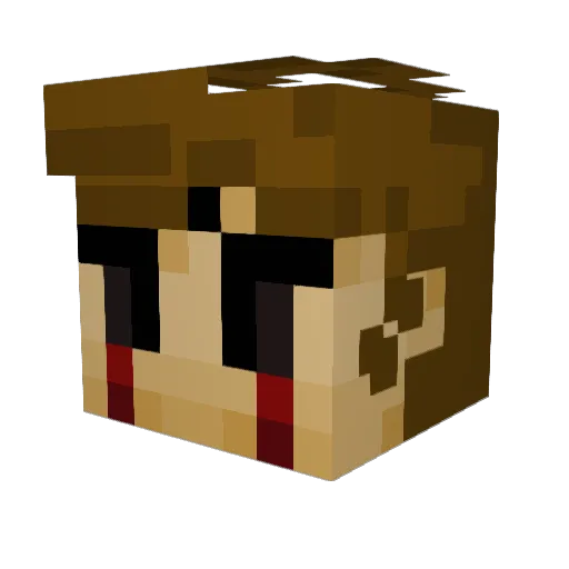 Beanshun101 Minecraft avatar head, 3D render