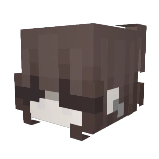 Beansie0210 Minecraft avatar head, 3D render
