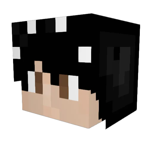 Beansrfresh Minecraft avatar head, 3D render