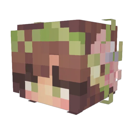 Beanu2003 Minecraft avatar head, 3D render