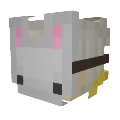 Beanu__ Minecraft avatar head, 3D render