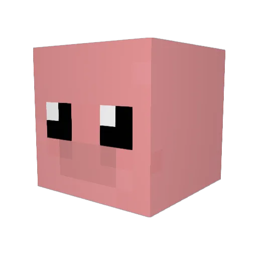 Beanurh Minecraft avatar head, 3D render