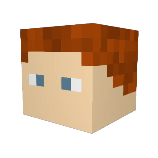 Beanzboi99 Minecraft avatar head, 3D render