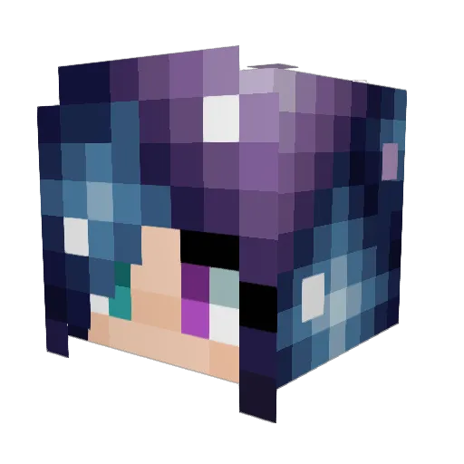 Beanzilla130 Minecraft avatar head, 3D render