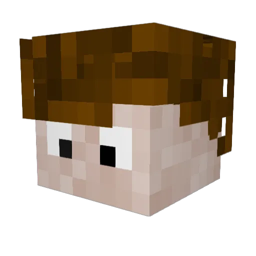 Beanzse Minecraft avatar head, 3D render