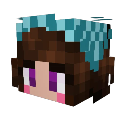 BeanzzZ1100 Minecraft avatar head, 3D render