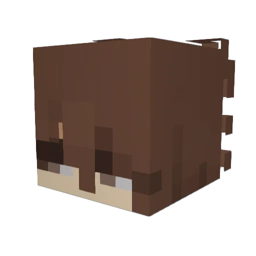 Bear0prods Minecraft avatar head, 3D render